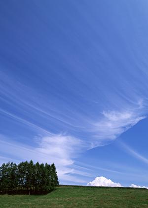生前に決めておきたいお墓の問題