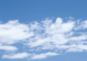 ペットの供養を寺で一緒にする事が出来る納骨堂
