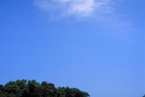 真心がこもったサービスの永代供養