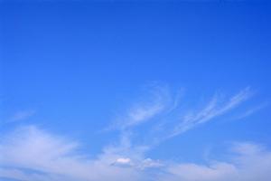 浜松市中央区にある富士葬祭植松町の充実した葬儀サービスと便利なアクセス情報