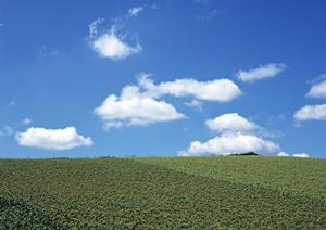 富士市に根ざす高品質な葬儀を提供する【富士葬祭 富士鷹岡】の魅力と特徴