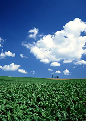 静岡県浜松市の家族葬に最適な斎場【家族葬のタクセル豊町】徹底ガイド