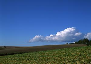 静岡県浜松市中央区の家族葬専門斎場｜家族葬のタクセル天竜川駅前の特徴と魅力