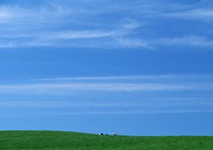 静岡県浜松市の家族葬に特化した安心の葬儀場「家族葬のタクセル天王」：特徴・料金・アクセス情報まとめ