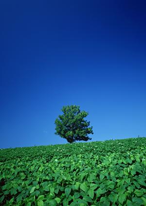 静岡市葵区の家族葬専門斎場「家族葬のタクセル丸山町」新規開設：安心低価格・多様な葬儀プランで地域のニーズに対応