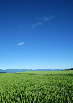 静岡市清水区に新たにオープンした家族葬ホール「家族葬のタクセル西久保」の特徴とサービス内容