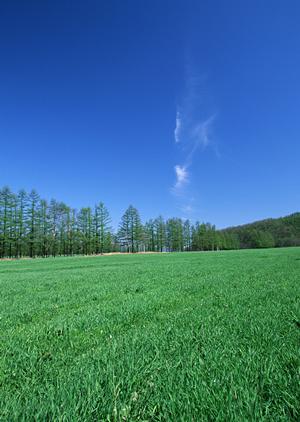 静岡市の家族葬専門斎場｜家族葬のタクセル沓谷の特徴とサービス詳細