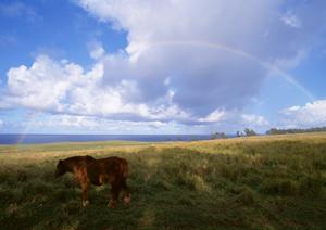 静岡県磐田市の家族葬に最適な葬祭場【富士葬祭 大原】の特徴とサービス内容