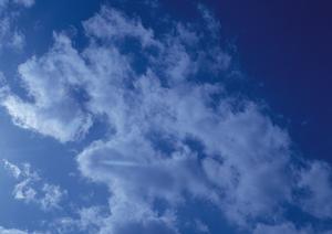 静岡市に根ざした信頼の葬儀サービス｜富士葬祭 みずほの特長と店舗情報