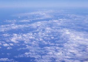 樹木葬は万人を受け入れてくれる